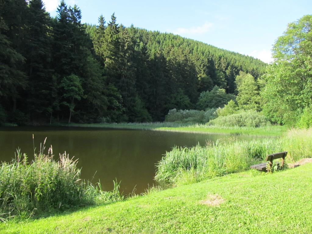 Hexenstieg House Lerbach Apartment Osterode am Harz Екстериор снимка